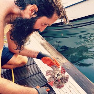 IMG_20201012_191246_271