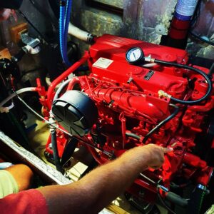 IMG_20201130_190945_506